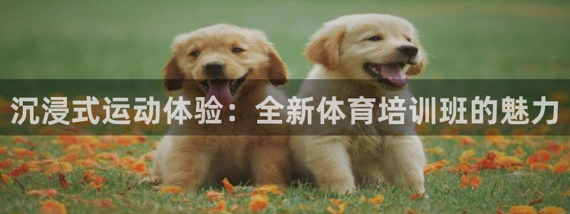 耀世娱乐登录注册教程：沉浸式运动体验：全新体育培训班