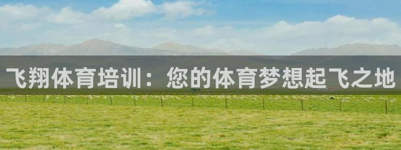 耀世平台代理怎么样可靠吗：飞翔体育培训：您的体育梦想