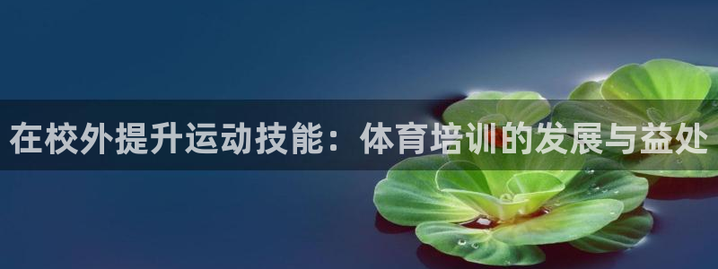耀世第三关怎么过：在校外提升运动技能：体育培训的发展