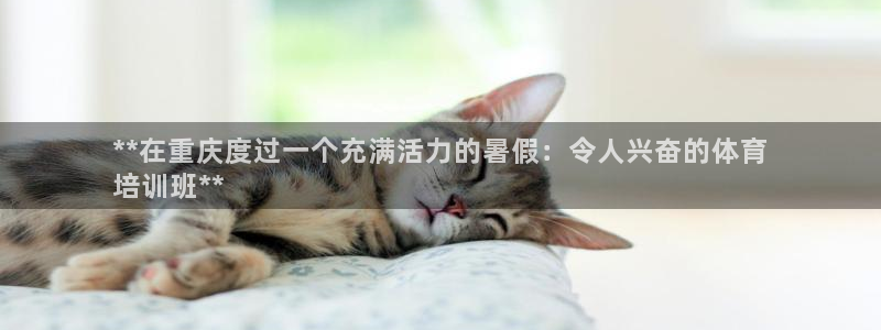 耀世平台总代理在哪：**在重庆度过一个充满活力的暑假