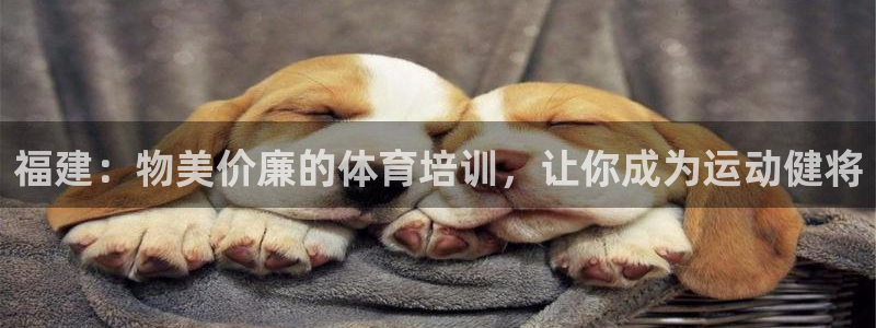 耀世平台最新注册地址是哪里：福建：物美价廉的体育培训