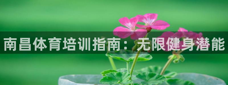 耀世娱乐老板叫什么：南昌体育培训指南：无限健身潜能