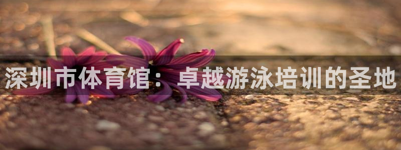 耀世娱乐客服电话：深圳市体育馆：卓越游泳培训的圣地