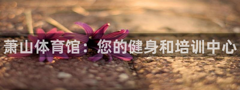 耀世平台六七五一38：萧山体育馆：您的健身和培训中心