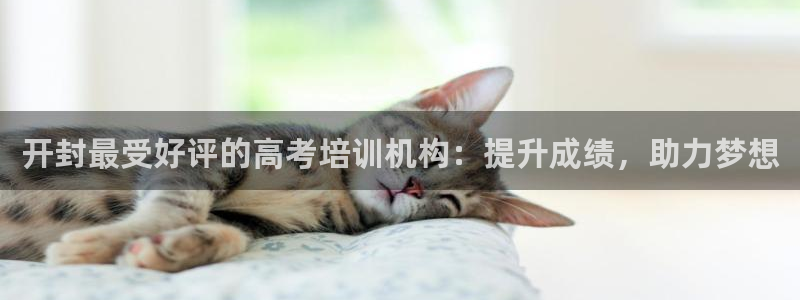 耀世集团七天三彩：开封最受好评的高考培训机构：提升成