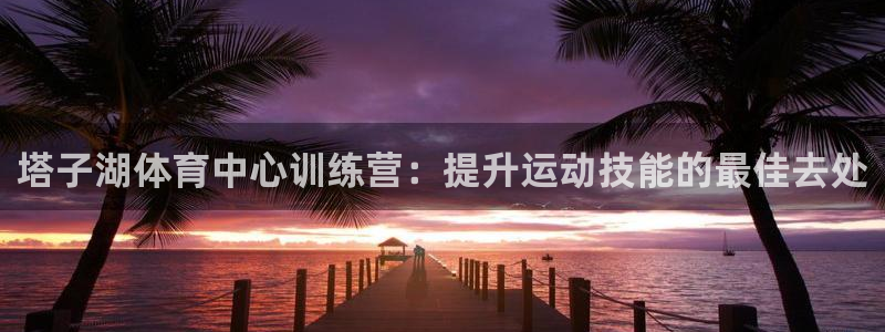 耀世集团公益：塔子湖体育中心训练营：提升运动技能的最佳去处