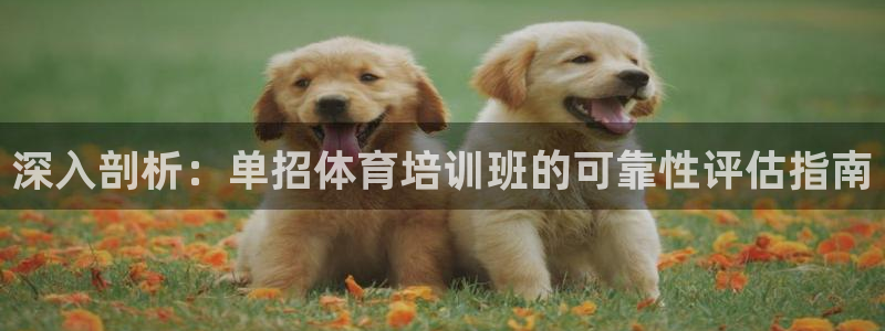 耀世平台会员中心怎么进：深入剖析：单招体育培训班的可