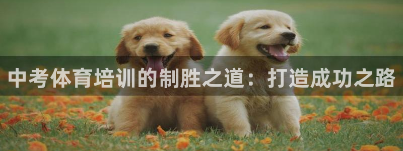 耀世集团视频直播在哪看：中考体育培训的制胜之道：打造