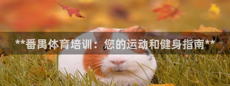耀世登场一样的词：**番禺体育培训：您的运动和健身指