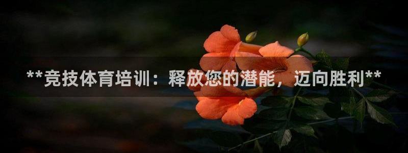 耀世娱乐科学：**竞技体育培训：释放您的潜能，迈向胜