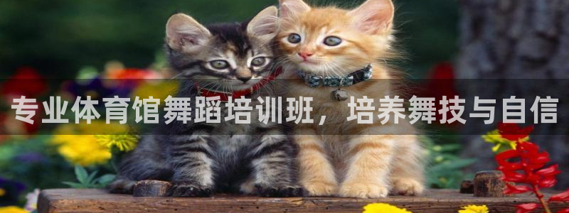 耀世平台注册网址是多少号：专业体育馆舞蹈培训班，培养