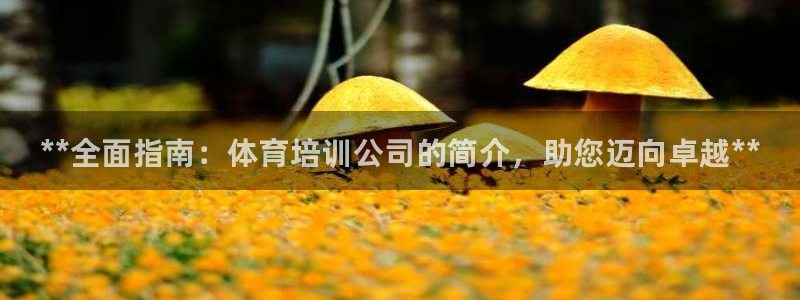 耀世而出：**全面指南：体育培训公司的简介，助您迈向卓越**