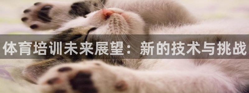 耀世平台开户流程是什么