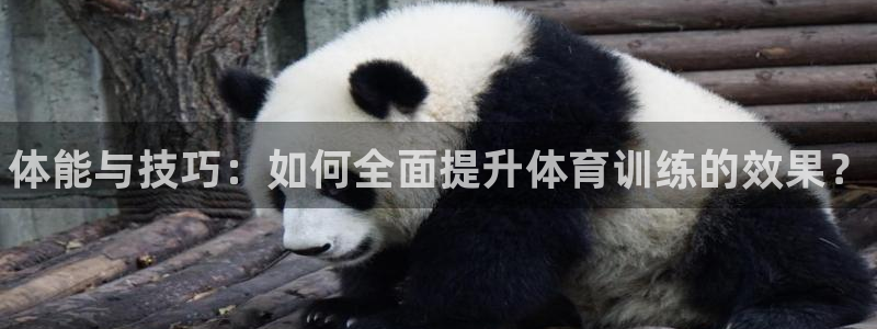 耀世娱乐平台官网下载：体能与技巧：如何全面提升体育训