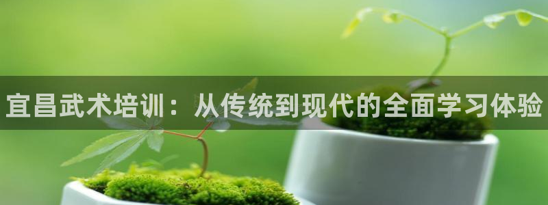 耀世盛启什么意思