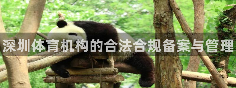 耀世娱乐怎么注册不了：深圳体育机构的合法合规备案与管