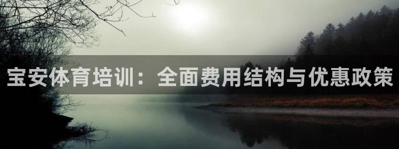 耀世璀璨：宝安体育培训：全面费用结构与优惠政策