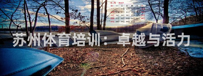 耀世而出：苏州体育培训：卓越与活力