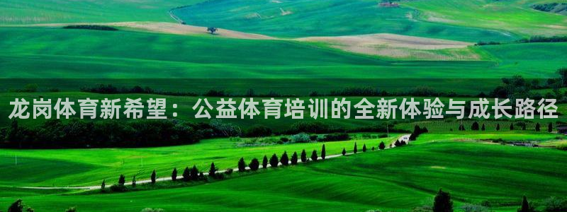 耀世娱乐返点：龙岗体育新希望：公益体育培训的全新体验