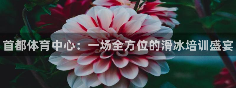 耀世微光 歌词：首都体育中心：一场全方位的滑冰培训盛宴