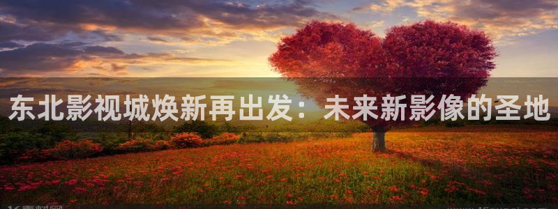 五五五电影网：东北影视城焕新再出发：未来新影像的圣地