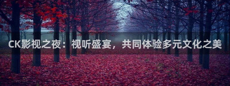 五五五影视最新电影：CK影视之夜：视听盛宴，共同体验多元文化之美