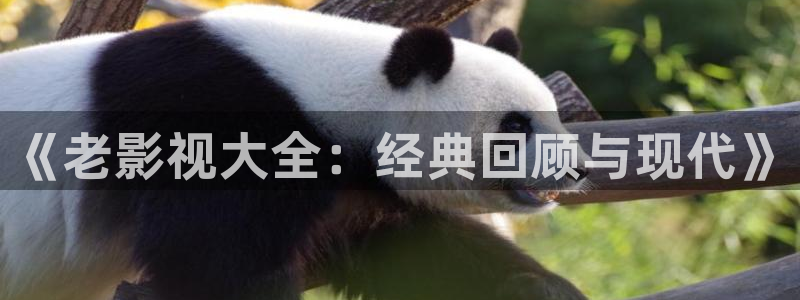 五五影片