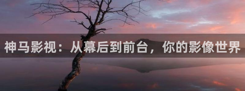 五五电影在线观看：神马影视：从幕后到前台，你的影像世界