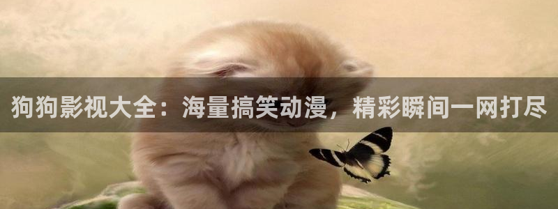 电影五五五