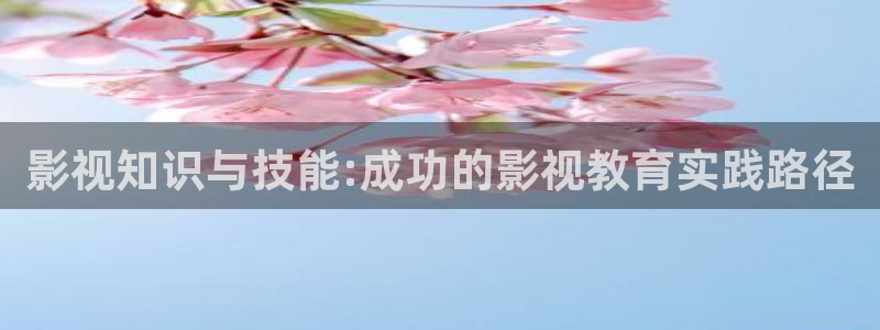 五五影视官方：影视知识与技能:成功的影视教育实践路径