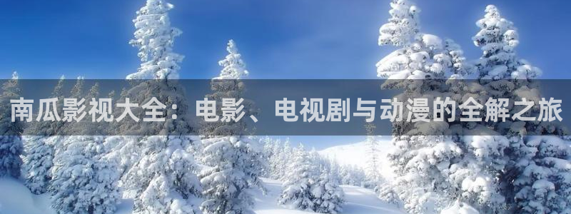 五五理论电影：南瓜影视大全：电影、电视剧与动漫的全解之旅