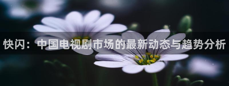 五五影视热门电视剧