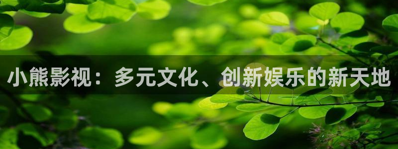 五五电影官网：小熊影视：多元文化、创新娱乐的新天地